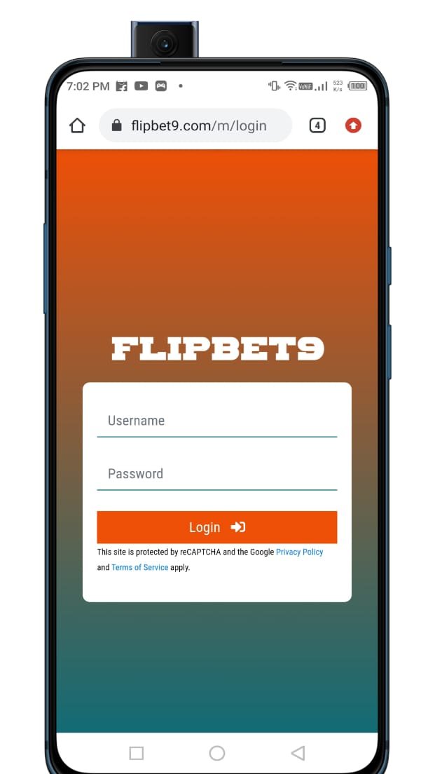 flipbet9.com
